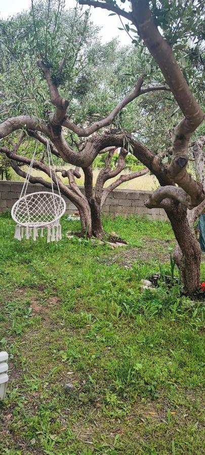 Apartman Duce Milka Villa Bagian luar foto